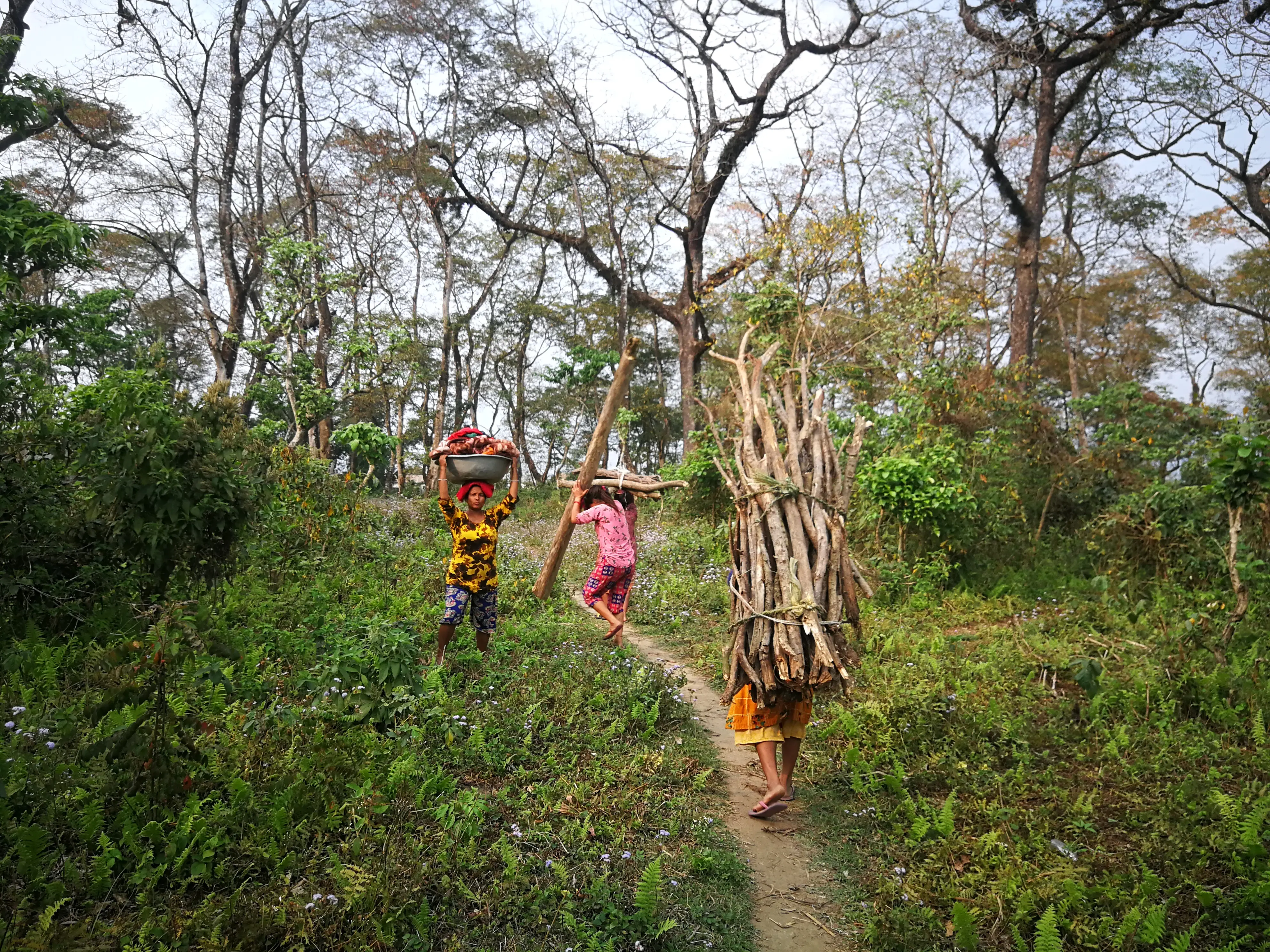 Fieldwork 13