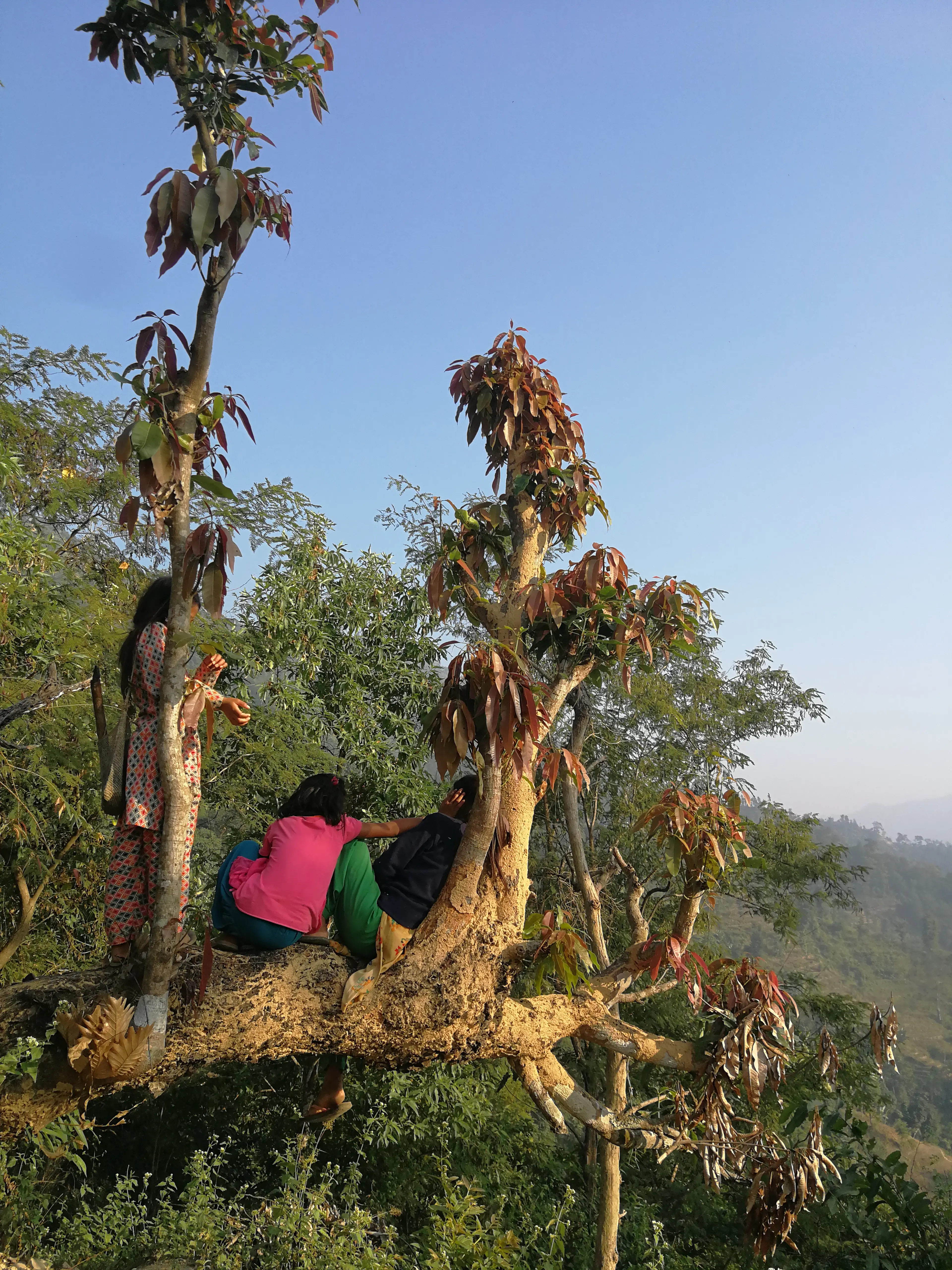 Fieldwork 4
